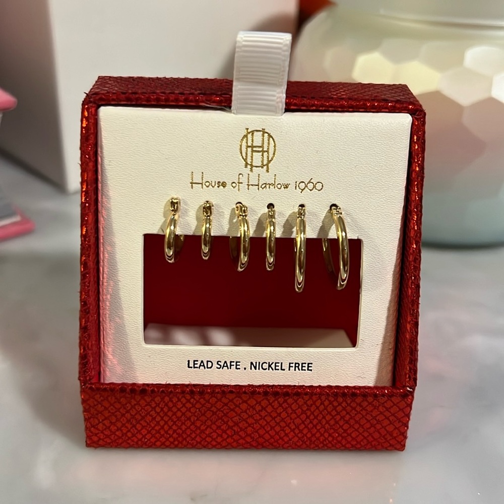 GOLD HOOP EARRING SET
